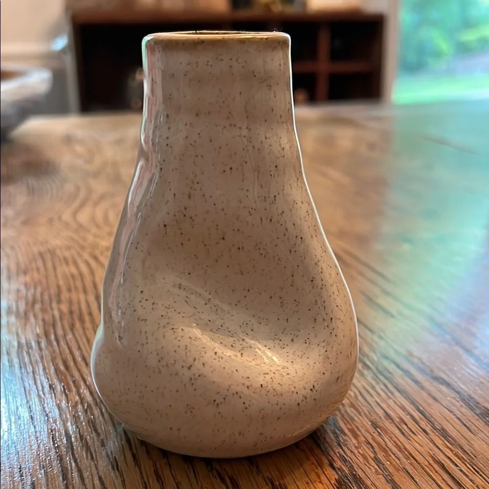 Anthropologie Speckled Ceramic Vase